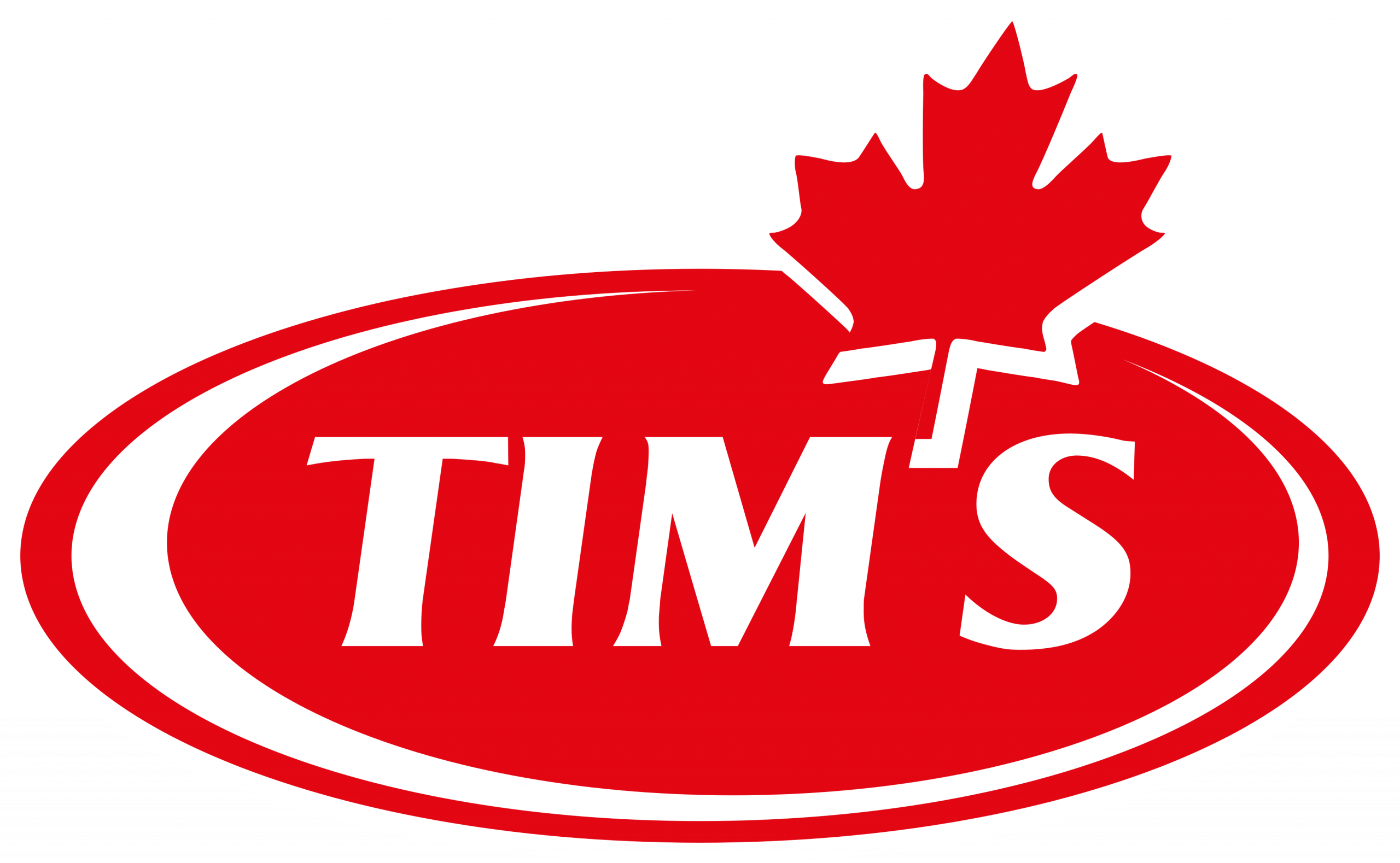 TIMs_Logo_vektor.ai